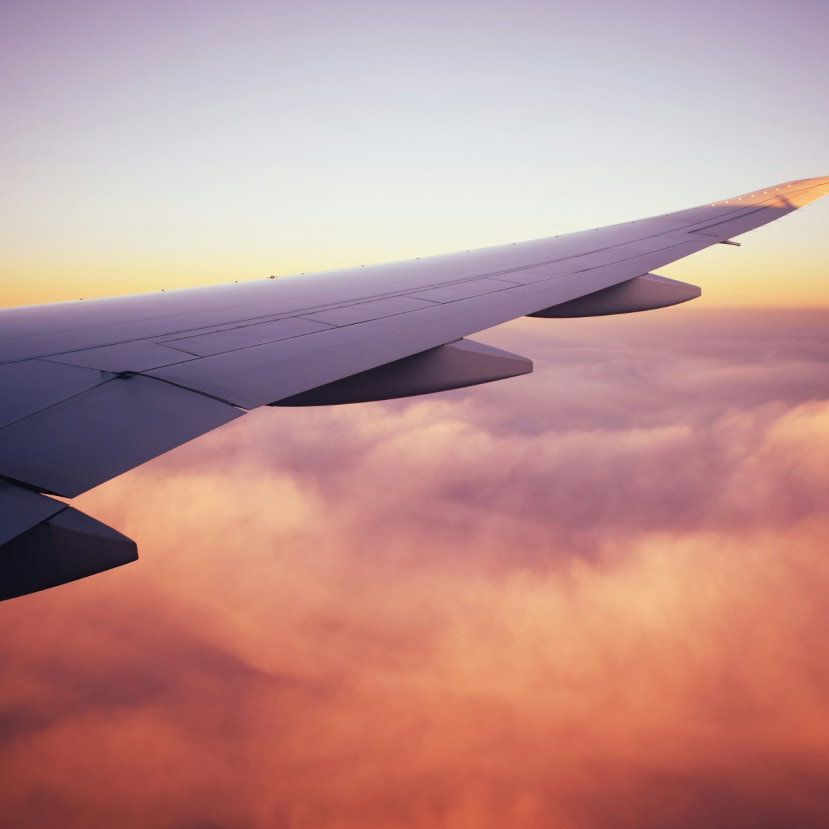 Read, listen, watch: what to take on the&nbsp;road